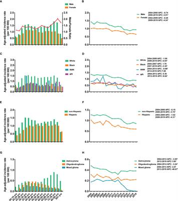 Epidemiology and risk stratification of low-grade gliomas in the United States, 2004-2019: A competing-risk regression model for survival analysis